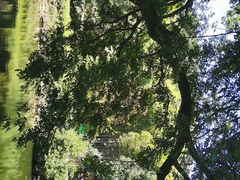 -冶父山国家森林公园