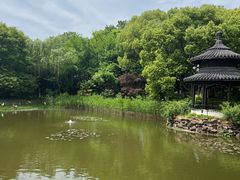 -天目湖山水园
