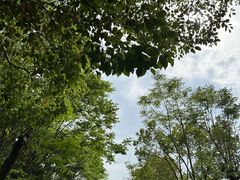 -常州淹城野生动物世界