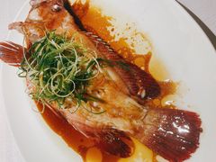 -金悦轩海鲜城(渔人码头店)