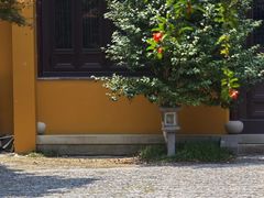 -重元寺香积厨素斋馆