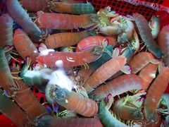 -醉壹号海鲜大排档(厦门美食地标店)