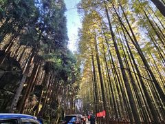 -山王坪喀斯特国家生态公园