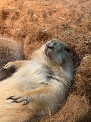 -Zoolung Zoolung动物主题公园(海信广场店)