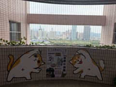 -有喵·猫咖·狗咖·30几只猫10只小狗(岗厦店)
