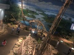 -自贡恐龙博物馆