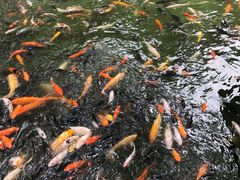 -珠海圆明新园