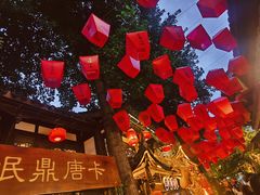 -小龙翻大江文化火锅(宽窄店)
