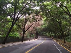 -南国桃园旅游度假区