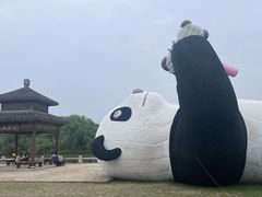 -苏州太湖国家湿地公园