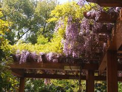 -徐家汇源景区-衡山公园