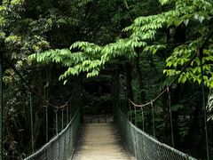 -西岭雪山大飞水景区