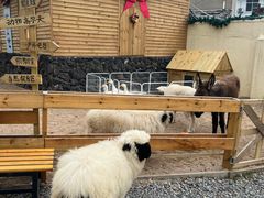 -HERRE·FARM 赫尔露营农场·团建聚会包场