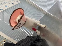 -瑞派福兴宠物医院犬猫全科·骨科·中西医结合(河东店)