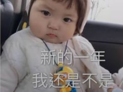 -白金海岸幼儿园总园