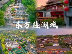 -中华恐龙园