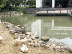 -苏州太湖国际会议中心