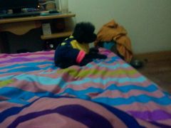 android_upload_pic-骐奇宠物诊疗中心(南亭公路店)