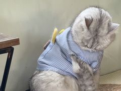 -小时光咖啡馆(北锣鼓巷店)