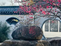 -东方绿舟景区