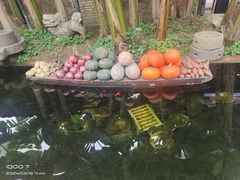 -德云居