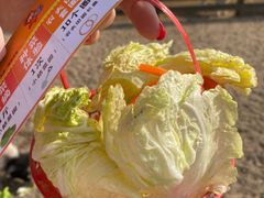 -前小桔亲子创意农场·草莓采摘·露营烧烤