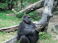 -哈尔滨北方森林动物园