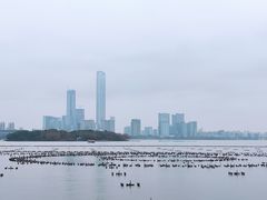 -金鸡湖景区
