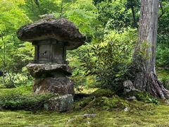 -三千院
