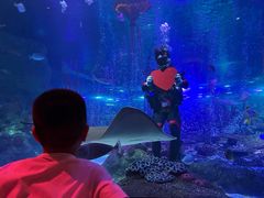 -沈阳海洋探索中心