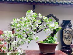 -成都杜甫草堂博物馆