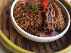 沙茶金钱肚-新南华大酒店(长寿店)