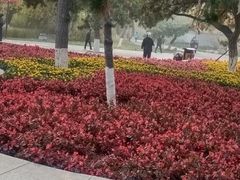 -万泉公园