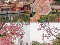 -宝墨园景区