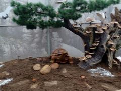 -长廊欢乐园