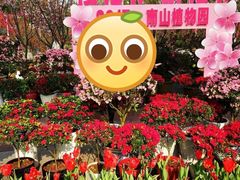 -南山植物园
