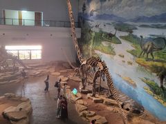 -自贡恐龙博物馆