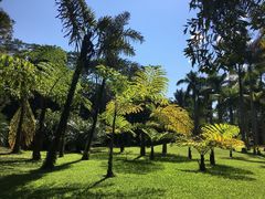 -中国科学院西双版纳热带植物园