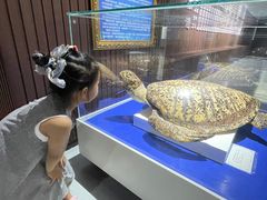 -贝壳王国博物馆