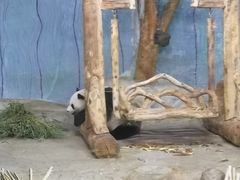 -海南热带野生动植物园