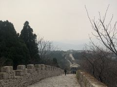 -原山国家森林公园