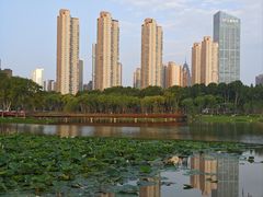 -后襄河公园