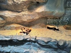 -Zoolung Zoolung动物主题公园(海信广场店)