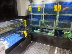 水产区-蓝鲸(国浩路店)