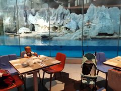 -帝企鹅自助餐厅•儿童岛•真企鹅(长隆企鹅酒店)