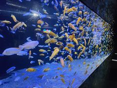 -成都浩海立方海洋公园