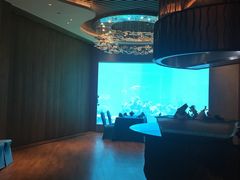 -海棠湾洲际-涛·海底餐厅·美人鱼·自助餐·海底隧道