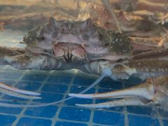 -碗中海·蒸汽海鲜·桑拿鸡(岭南天地店)