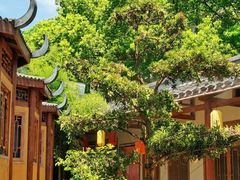 -小隐院子·庭院餐厅(大学城后湖店)