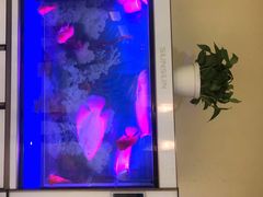 -华夏良子·足道SPA艾灸(三里屯店)